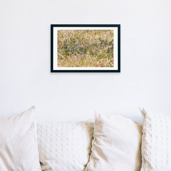 Arquipélago das Berlengas - ID84