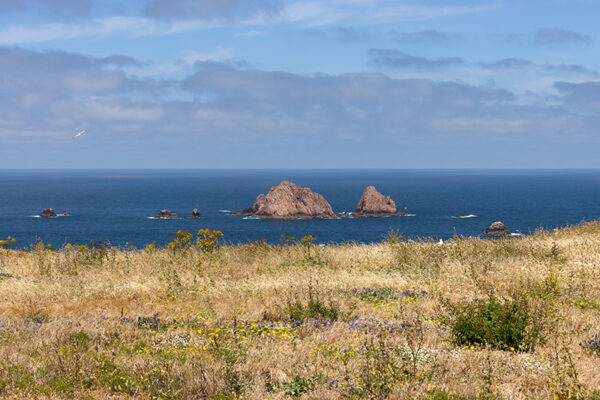 Arquipélago das Berlengas - ID86