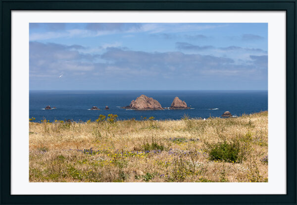 Arquipélago das Berlengas - ID86