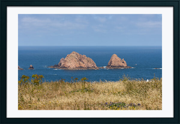 Arquipélago das Berlengas - ID87