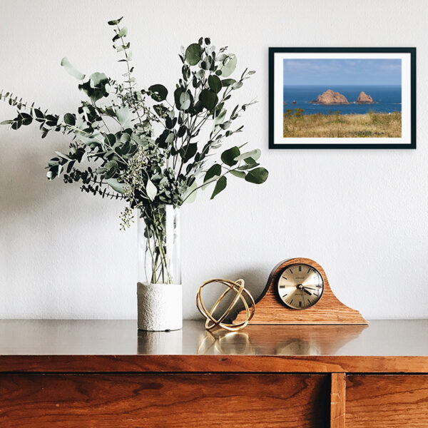 Arquipélago das Berlengas - ID87