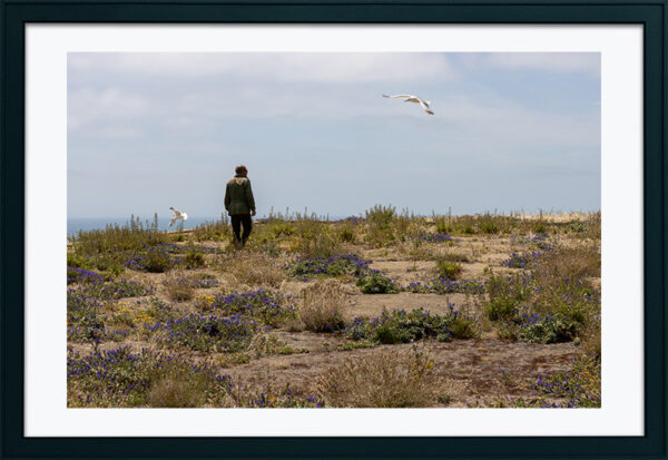 Arquipélago das Berlengas - ID88