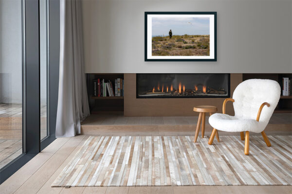 Arquipélago das Berlengas - ID88