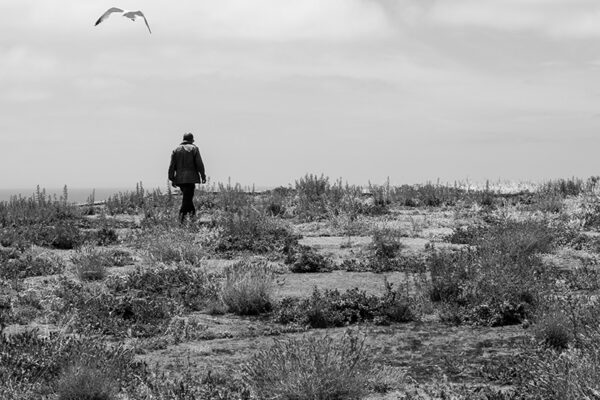 Arquipélago das Berlengas - ID89
