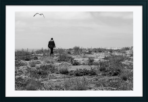 Arquipélago das Berlengas - ID89