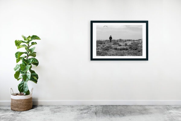 Arquipélago das Berlengas - ID89