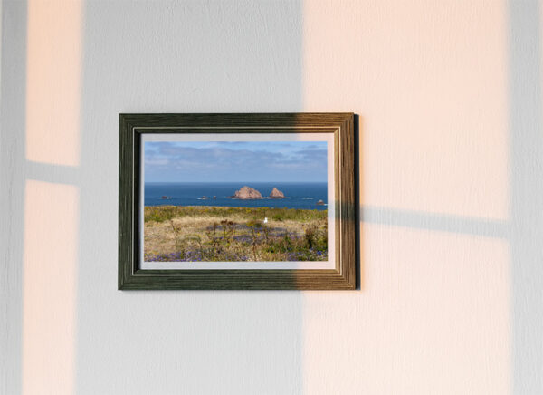 Arquipélago das Berlengas - ID90