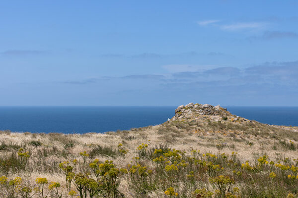 Arquipélago das Berlengas - ID91