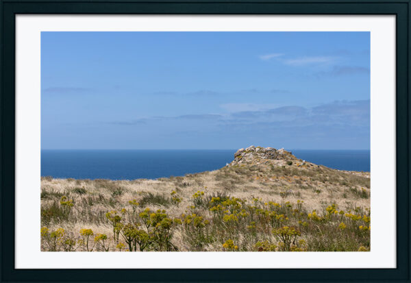 Arquipélago das Berlengas - ID91