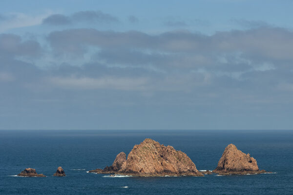 Arquipélago das Berlengas - ID92