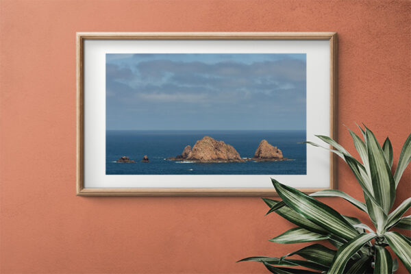 Arquipélago das Berlengas - ID92