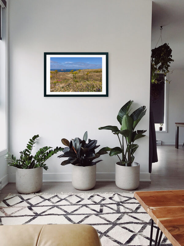 Arquipélago das Berlengas - ID93