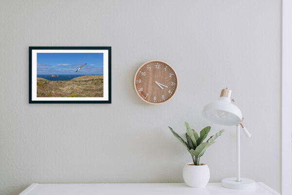 Arquipélago das Berlengas - ID94