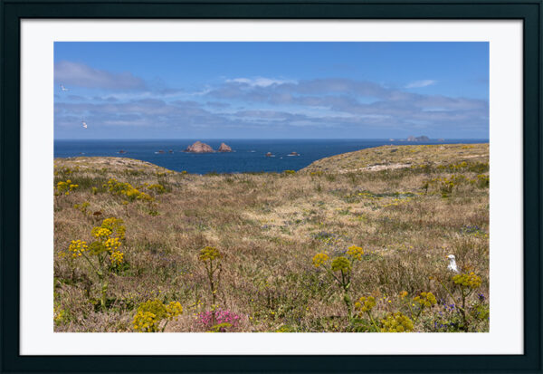 Arquipélago das Berlengas - ID95