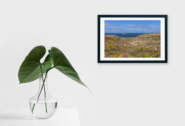 Arquipélago das Berlengas - ID95