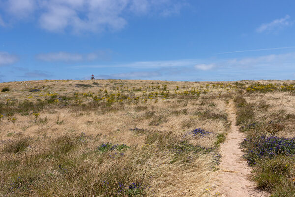 Arquipélago das Berlengas - ID96