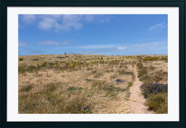 Arquipélago das Berlengas - ID96