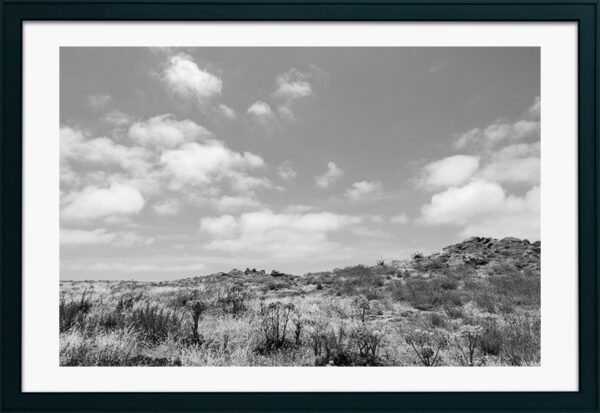 Arquipélago das Berlengas - ID97