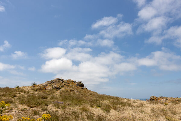 Arquipélago das Berlengas - ID98