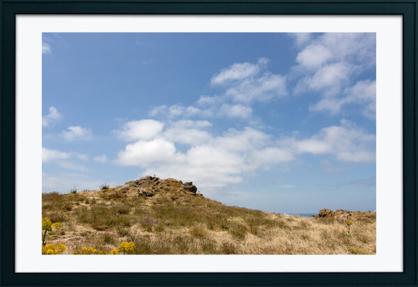 Arquipélago das Berlengas - ID98