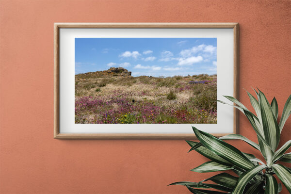 Arquipélago das Berlengas - ID99