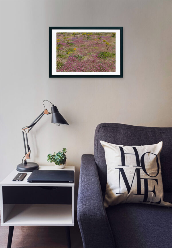 Arquipélago das Berlengas - ID100