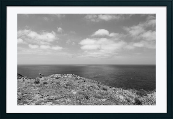 Arquipélago das Berlengas - ID101