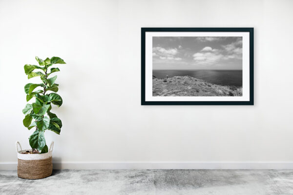 Arquipélago das Berlengas - ID101