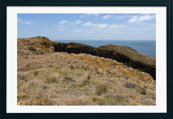 Arquipélago das Berlengas - ID102