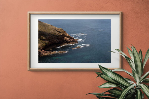 Arquipélago das Berlengas - ID103