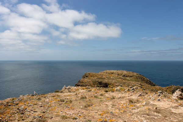 Arquipélago das Berlengas - ID104