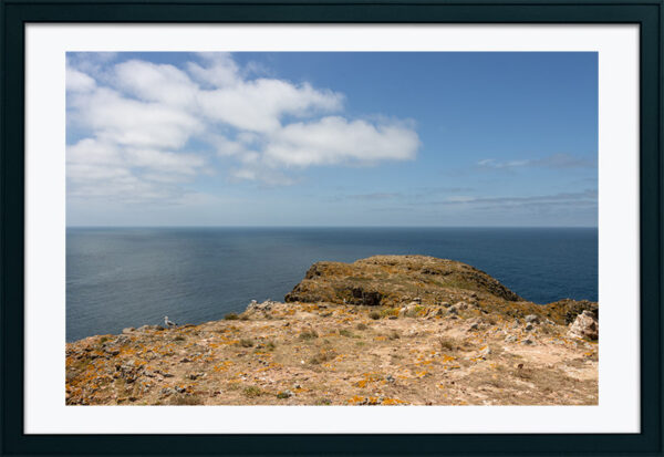 Arquipélago das Berlengas - ID104