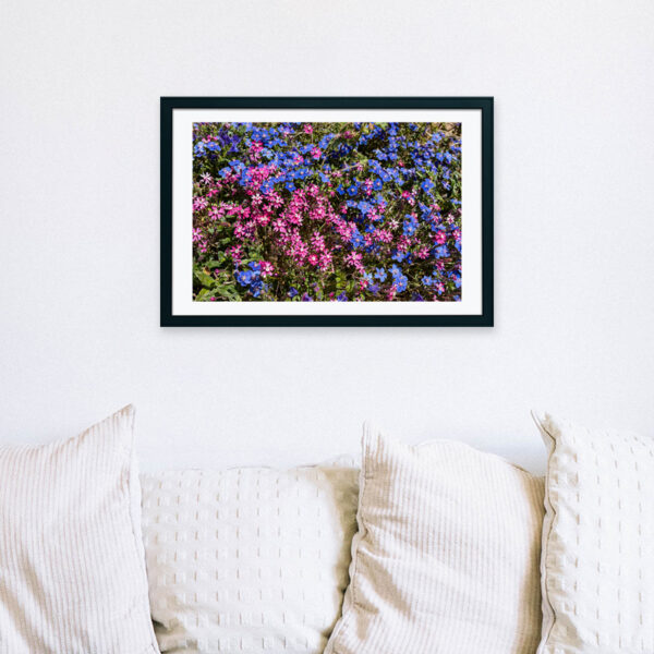 Arquipélago das Berlengas - ID105