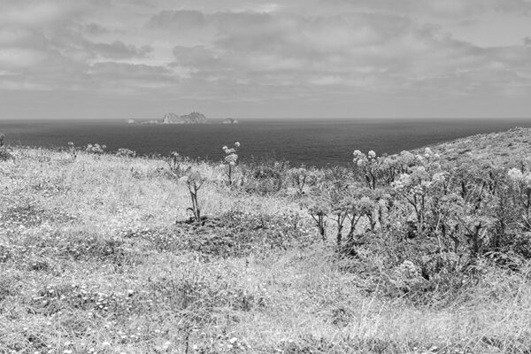 Arquipélago das Berlengas - ID106