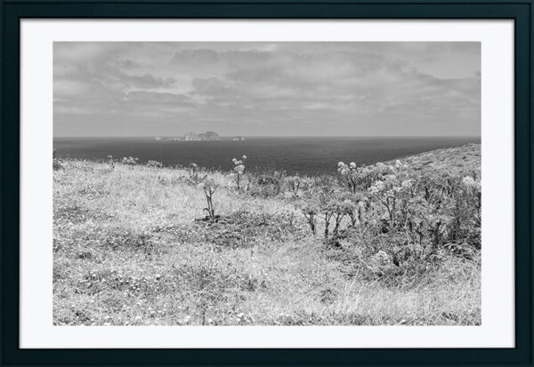 Arquipélago das Berlengas - ID106