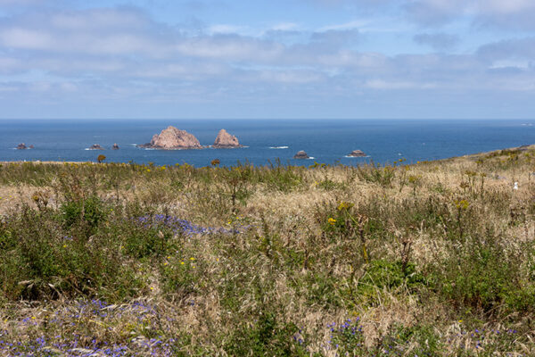 Arquipélago das Berlengas - ID107