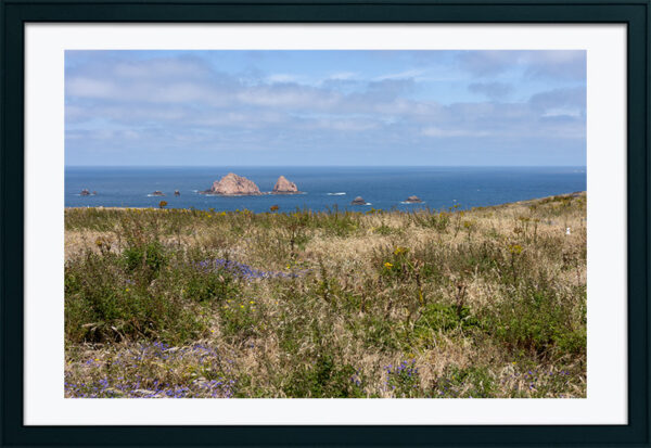 Arquipélago das Berlengas - ID107