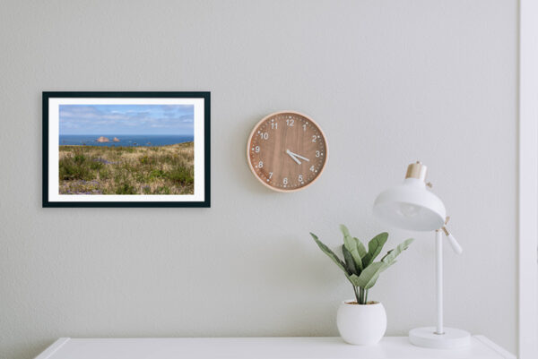 Arquipélago das Berlengas - ID107