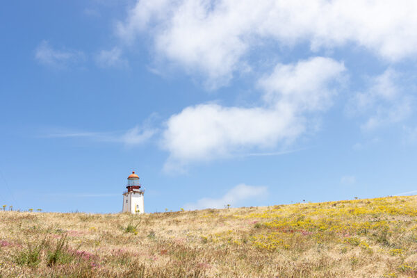 Arquipélago das Berlengas - ID109