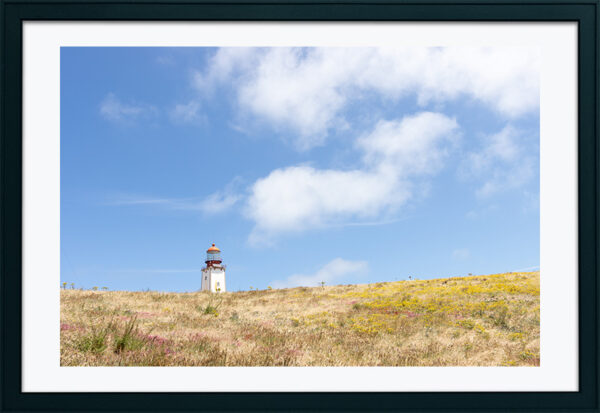 Arquipélago das Berlengas - ID109