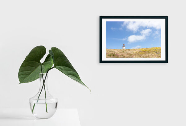 Arquipélago das Berlengas - ID109