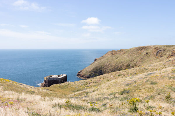 Arquipélago das Berlengas - ID110