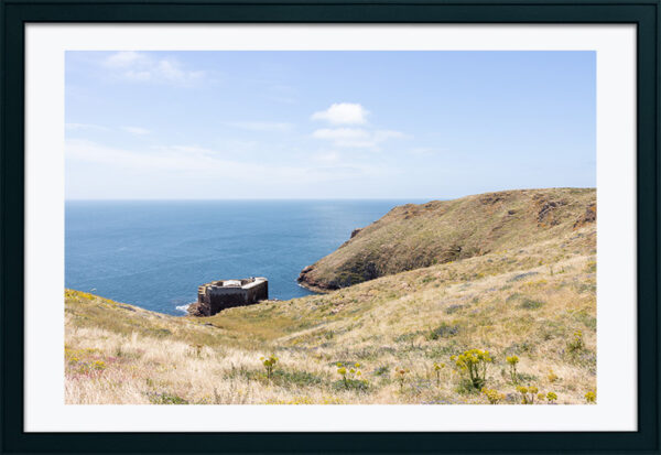 Arquipélago das Berlengas - ID110