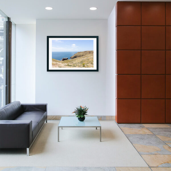 Arquipélago das Berlengas - ID110