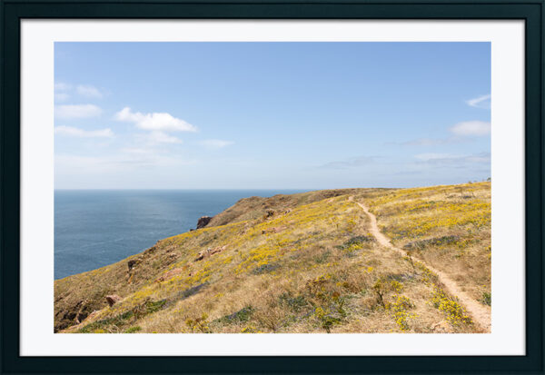 Arquipélago das Berlengas - ID111