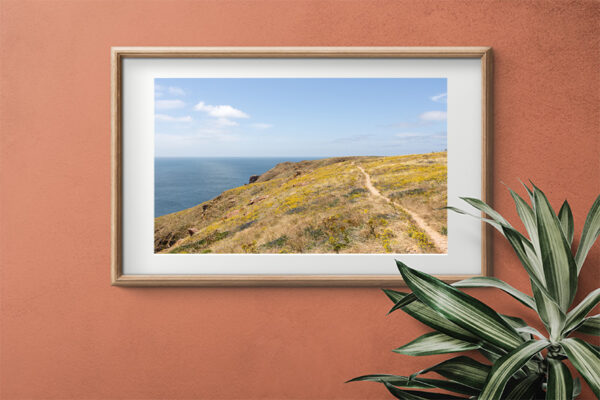 Arquipélago das Berlengas - ID111