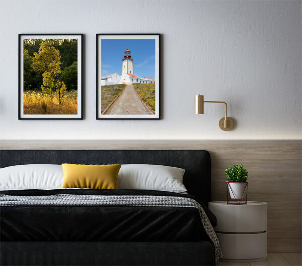 Arquipélago das Berlengas - ID112