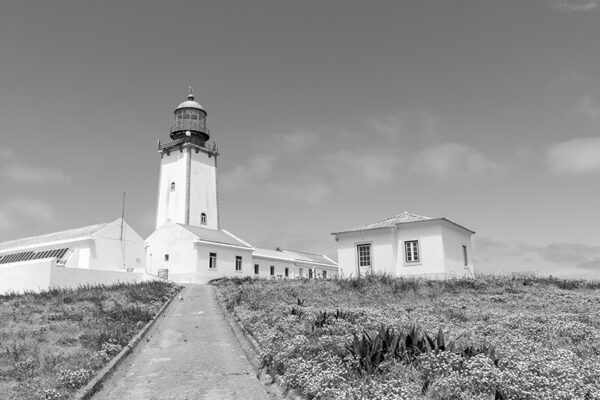 Arquipélago das Berlengas - ID113