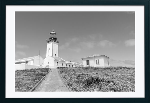 Arquipélago das Berlengas - ID113