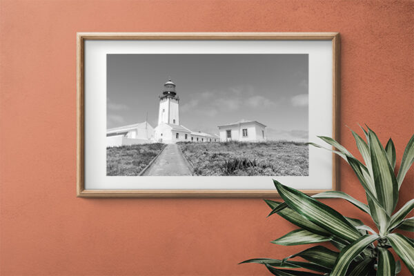 Arquipélago das Berlengas - ID113